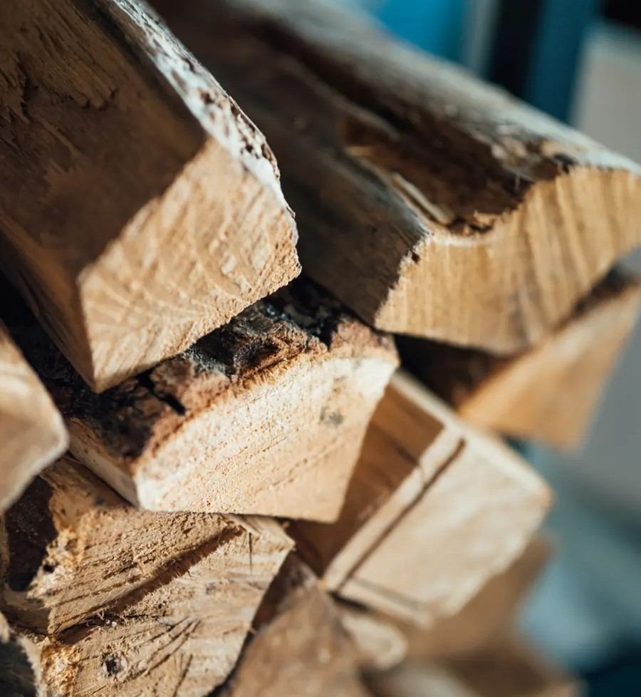 CORSO DI FORMAZIONE PER LE IMPRESE DEL SETTORE LEGNO-ENERGIA