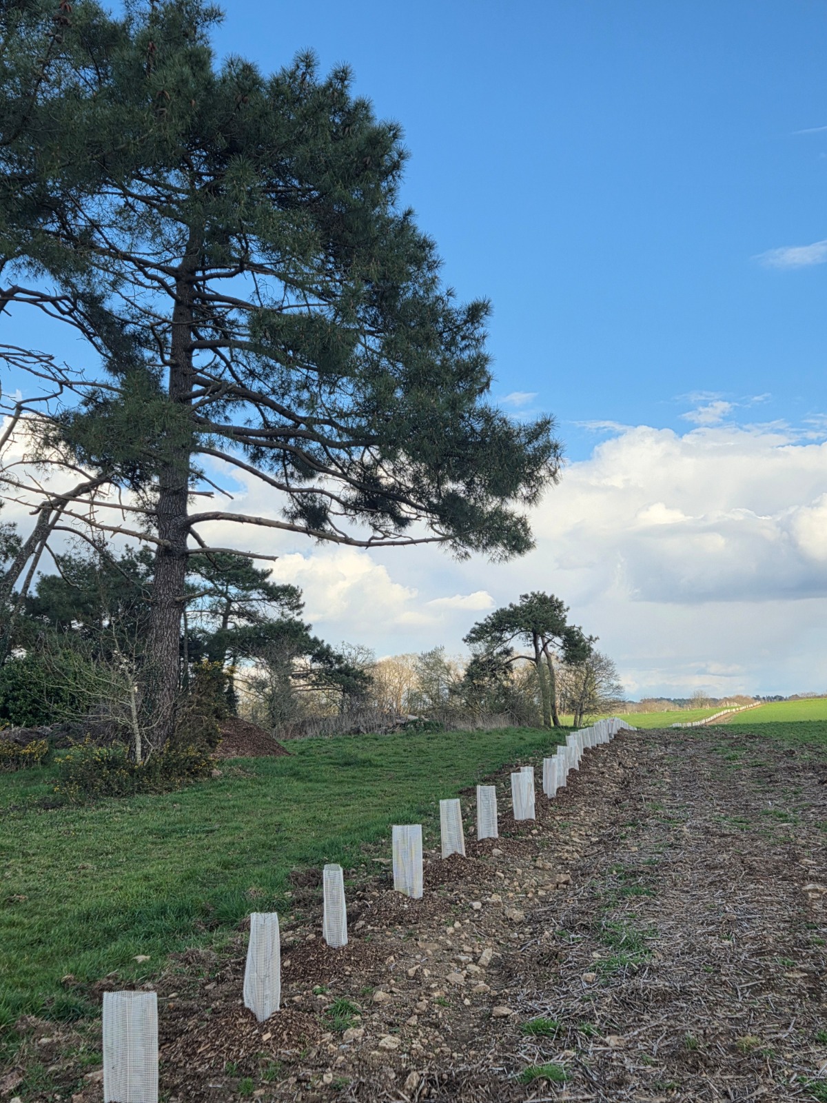 GRIPLAST| Protezione di Giovani Piante Forestali e Agroforestali - Fiera BOSTER 2026