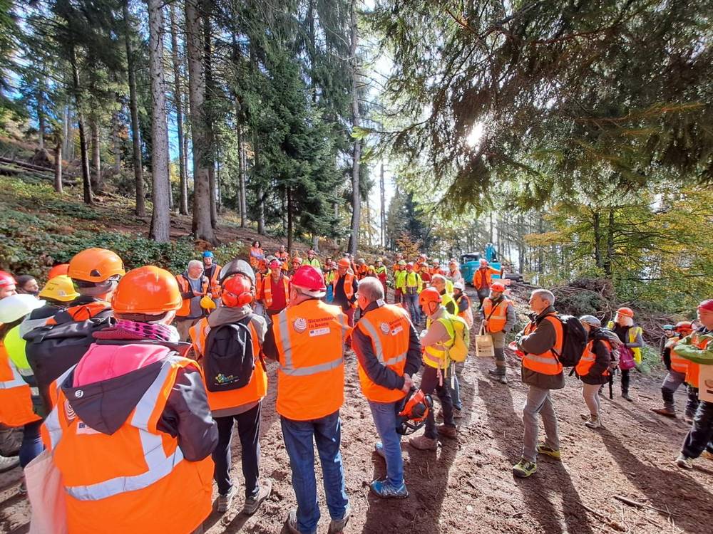 Regione Piemonte alla Fiera BOSTER 2026 |  il programma delle dimostrazioni forestali e vivaistiche
